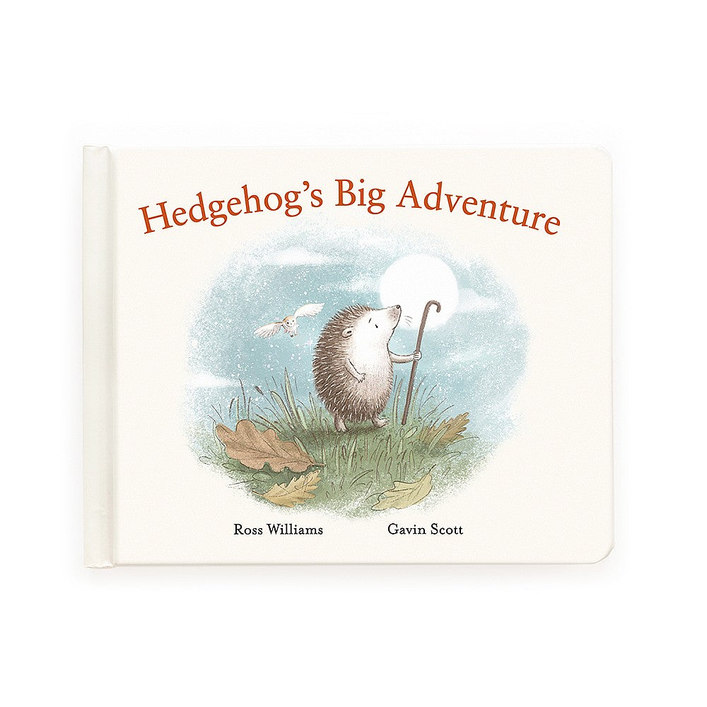 Hedgehogs big adventure book