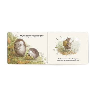 Hedgehogs big adventure book